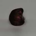 Clip in Bangs 100% Real Human Hair, Fake Bangs Hair Clip on Bang for Women, Medium Brown Wispy Bang Fringe with Temples Hairpieces Extensions for Daily Wear (Medium Brown, Wispy Bangs)