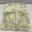 ROSMARUS Shaggy Bath Rugs for Bathroom Non Slip 17" X 24", Water Absorbent Bath Mat, Soft Shower Mat for Floor & Tub, Fluffy Plush Rug Machine Washable, Green