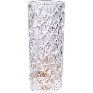 Clear Glass Vase, Multifunction Hydroponic Flower Vase Living Room Bedroom Decorative Vase(Size:15 Inch)