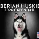 Siberian Husky Calendar 2026 Huskies Monthly Wall Calander 12 Month | American Made In The USA
