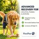 Dog Knee Brace Rear Leg Support with Freezable Gel Pack, Removable Stabilizer Rods, Reflective Straps, for ACL/CCL Injury, Arthritis & Post-Surgery Recovery (Medium)