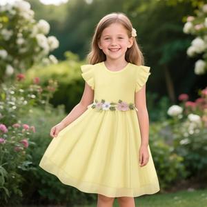 LQSZ Tutu Dress for Little Flower Girl Toddler, Girls Summer Dress Ruffle Sleeve for Princess Birthday Wedding Dance Party 110