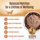 Wellness 95% Turkey Adult Canned Wet Dog Food, Grain Free, Natural, 13.2 oz, Pack of 12 Cans (EXP 04/01/29)