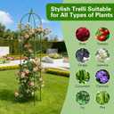 2 Pack Garden Obelisk Trellis for Climbing Plants, 72" Metal Rustproof Rose Trellis, Tower Potted Cages Plant Support for Flowers/Vegetables/Vines, Indoor Outdoor Garden Patio