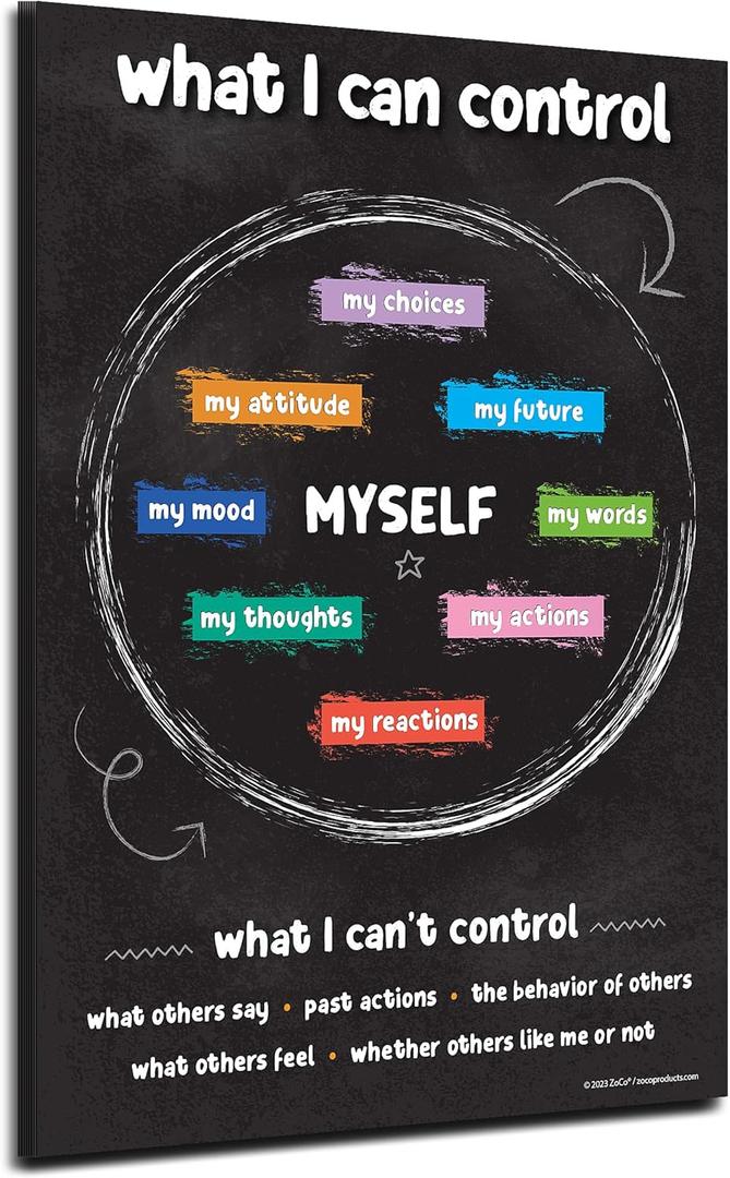 Things I Can Control Poster Pack of 2