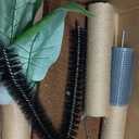 29.5" Tall Cat Scratching Post, Natural Sisal Scratching Posts with Self Groomer for Indoor Large Cats Kitten Scratch Posts with Hanging Ball and Spring Ball for Adult Cats Kittens Kitty(Green)