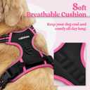rabbitgoo Dog Harness No Pull with 2 Leash Clips, Adjustable Soft Padded, Reflective Oxford No Choke Pet Vest with Easy Control Handle for  Dogs, Black & Hot Pink, M