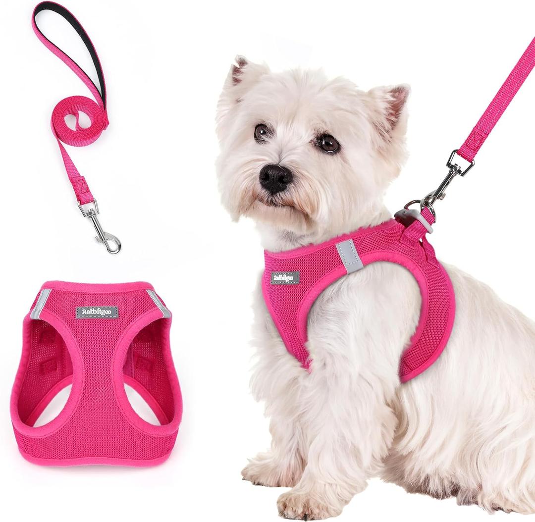 rabbitgoo Dog Harness Small Sized and Leash Set, Step in Soft Light Puppy Vest, Breathable Mesh Pet Harness, Reflective for Safe Easy Walking, Rose Red S (S (Chest: 15.1 - 16.5"))