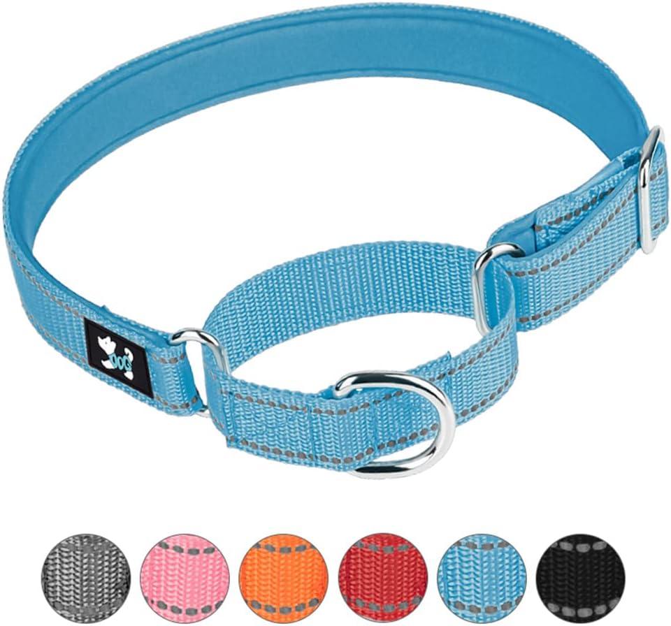 Adjustable Martingale Safety Training Dog Collars, Soft Neoprene Padded Breathable Nylon Pet Collar for Small Medium Large Dogs (L, Blue)