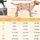 Dog Knee Brace for Torn ACL Hind Leg, Adjustable Dog Leg Braces Rear Leg or Front Legs with Cruciate Ligament Injuries, Warm Joint Pain Relief CCL Brace for Pets Knee Support Universal Four Legs, L