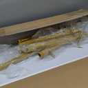 VEVOR Ladder Shelf, 5-Tier Bookshelf 24x11.8in, Open Wall-Mounted Ladder Shelf with Metal Frame,Storage Rack Sundries Holder for Kitchen Bedroom Bathroom Living Room, Gold White