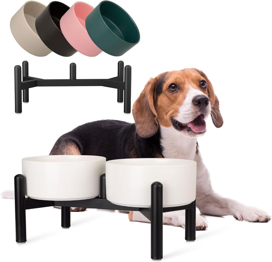 Raised Ceramic Dog Bowl Set - Elevated Double Dishes with Stainless Steel Stand - Food and Water Bowls for Small to Medium Dogs - Each Holds 3.5 Cups (29.57 fl oz) - White