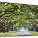 arteWOODS Green Forest Framed Canvas Wall Art Oak Trees Covered Lane Pictures Art Print Green Nature Landscape Artwork Oak Trees Lined Road at Georgia, Natural Wood Frame, Ready to Hang, 20" x 40"