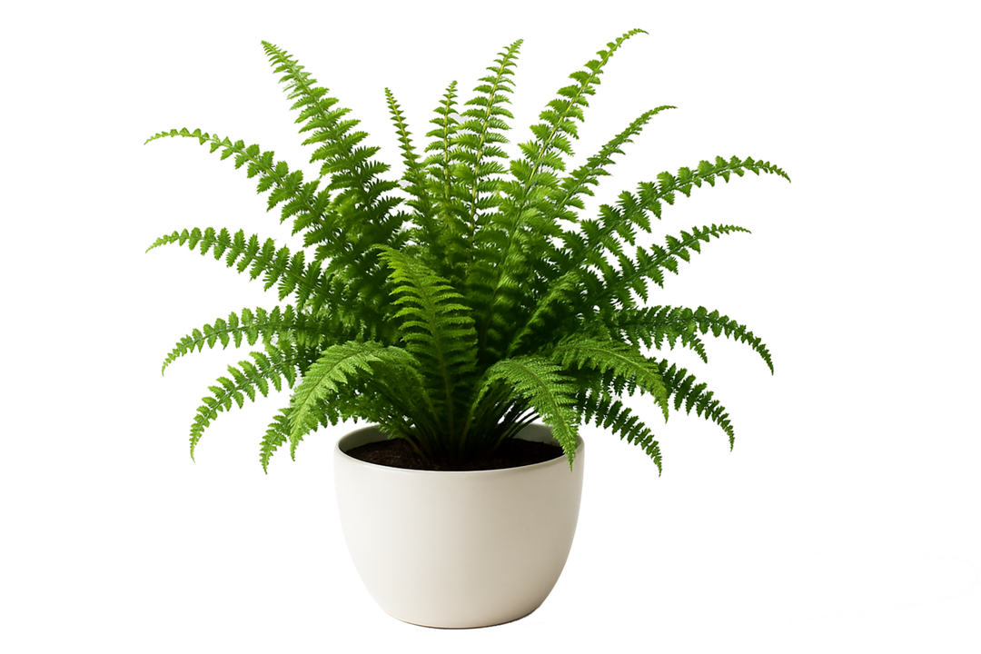 Artificial Potted Green Fern Plant for Indoor, Faux Greenery Bush Bouquet with White Berry Pinecone Accents, 16" Tall Set of 4, Fake Plants Arrangements Home Dcor