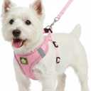 Dog Harness with Leash Set, No Pull Adjustable Reflective Step-in Puppy Harness with Thickened Padded Vest for Extra-Small/Small Medium Dogs (Pink, Medium)