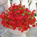 Kingsboomy Artificial Flowers for Outdoors, Faux Plants Flowers, 12 Bundles Silk Colorful Fake Flowers Eucalyptus Realistic UV Resistant for Outside Home Planter Porch Patio Yard Decor (12, Red)