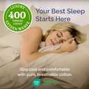 Queen Sheet Set - 100% Cotton Sheets - 4 Piece Queen Size Cotton Bed Set with Deep Pockets up to 16 Inches - Ultra Soft, Breathable & Cooling - Comfy, Fade & Stain Resistant - Machine Washable - Cream