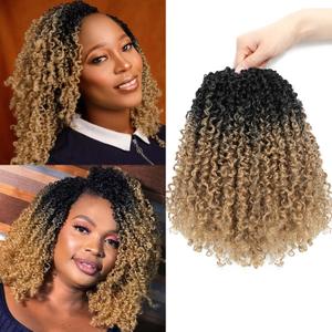 Aksice 10 Inch Pre-Looped Yanky Twist Crochet Hair 8 Packs 30 Strands Pre-twisted Passion Twist Crochet Braids Hair With Curly Crochet Hair Senegalese Twist Braids (1B/27#)