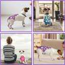 Jollywoods 3 Pack Washable Female Dog Diaper Onesie Sanitary Pantie with Adjustable Suspender, Reusable Fixed Doggie Diapers, Super Absorbent Leakproof for Small Medium Large Dog in Heat Cycle L