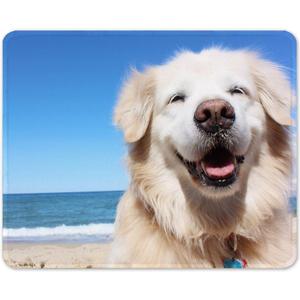 Auhoahsil Mouse Pad, 12 x 10 in Animals Theme Computer Mouse Pad for Desk, Premium-Textured Non-Slip Rubber Stitched Edges Waterproof Square Mouse Mat for Gaming Work Wireless Mice, Beach & Dog (Cute Golden Retriever)