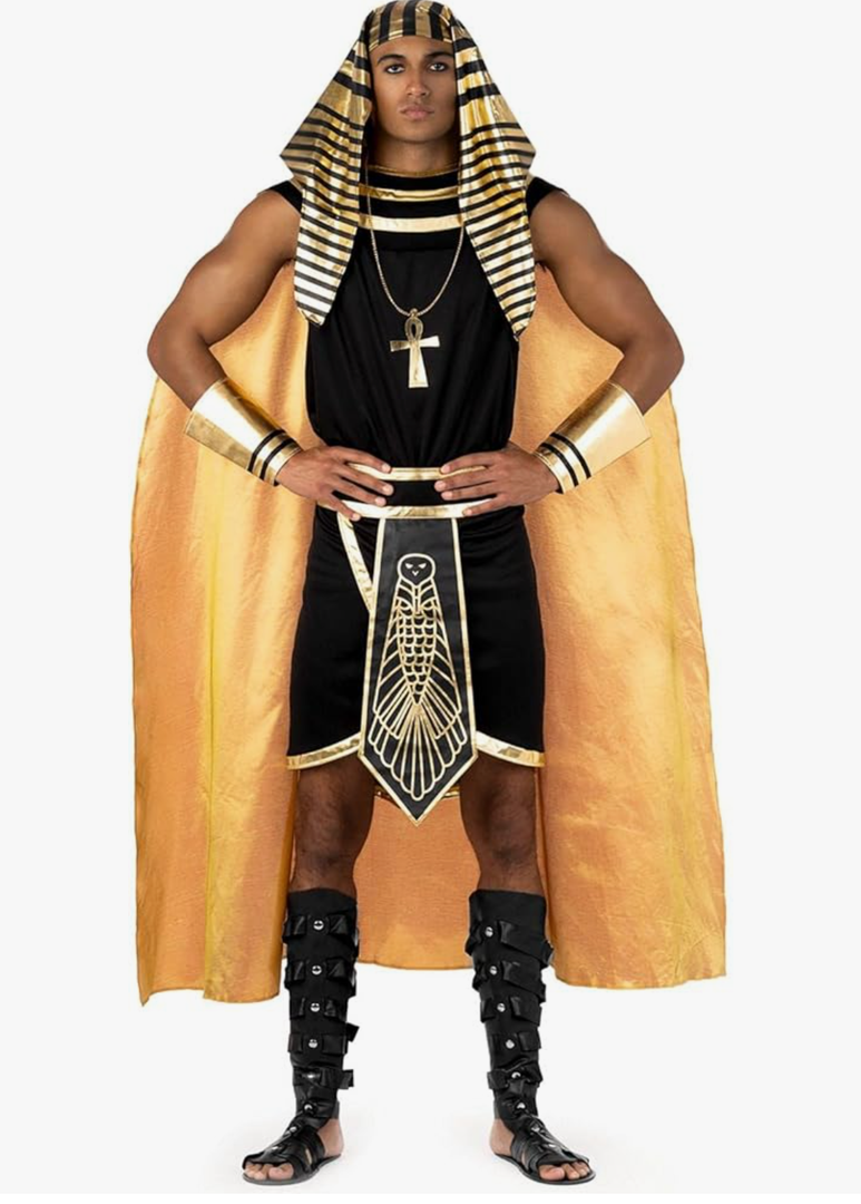 Morph Deluxe Egyptian Pharaoh Costume for Men - Adult Pharaoh Halloween Outfit - Ancient Egyptian Dress Up Size M