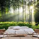 Sunshine in The Woods Mural, Large Jungle Mural, Suitable for Decorating Bedroom, Living Room, Bath Room Background Wall(Non-self-Adhesive)