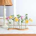 Test Tube Vases for FlowersSmall Plant Propagation StationS Shape Plant Terrarium with Wooden Stand (Solid Beech)