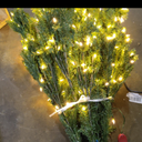 National Tree Company 7.5 ft Pre-Lit Dunhill Fir Artificial Christmas Tree, 700 LED Lights, 2,514 Tips, Foot Pedal, 10 Light Functions, Includes Stand, Green