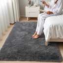 Zentavio Area Rugs for Living Room Small Carpet for Bedroom 3x5 Bedside Washable Soft Fluffy Shag Aesthetic Plush High Pile Throw Rug for Nursery Kids Room Dorm Room Grey