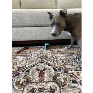 Under Couch Stop Things Going Under Sofa or Bed  Adjustable Gap Bumper for Furniture