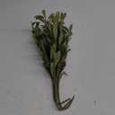 Waipfaru Faux Olive Branches for Vases, Olive Tree Branches with Lifelike Olives, Artificial Greenery Stems Decor for Centerpieces Floral Arrangements Vases (3Pcs, 18 Inch)