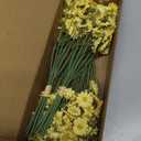 Floroom 24pcs Yellow Small Artificial Flowers Faux Silk Daisies Fake Wildflowers with Stems for DIY Wedding Bouquets Floral Arrangements Party Decor Centerpieces Decorations (Vase Not Included)