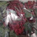 Zeyune 3 Pcs Artificial Red Berry Stem Spring Faux Flowers Picks Branches Fake Realistic Sedum Stem Spray for Wedding Holiday Seasonal Farmhouse Mantel Harvest DIY Home Decorations(35 Inch) (Burgundy)