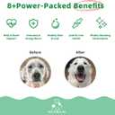 Premium Multivitamin Chewable for Dog - Dogs Vitamins Supplements with Glucosamine HCL Omega-3 Antioxidants Support Digestion Joint Health Immune Function Skin & Coat, Beef Flavor 100 Soft Treats