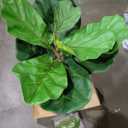 Fiddle Leaf Fig Tree Artificial - 41" Faux Fiddle Leaf Fig Tree with White Planter - Fig Tree Artificial with Lifelike Leaves for House Office Living Room Indoor Home Decor