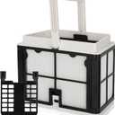 9991460-R1 Ultra-Fine Filter Basket Compatible with Dolphin Robotic Pool Cleaners S50 S100 Active 10 & 15 Echo T15 T25 Proteus DX3 Saturn Cayman Escape Nautilus CC Encore E10 Explorer E20 Solo Advanta