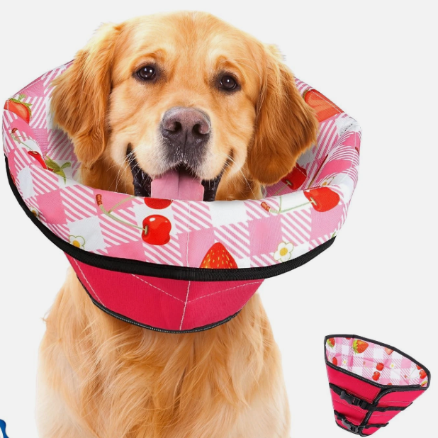 Dog Cone Soft Surgery Dog Cone Collar  Adjustable Long Foldable Comfortable for Recovery Alternative Prevent Biting Stop Licking Wound Small Medium Large Dogs (Strawberry Red, XL)