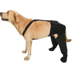 COODEO Dog Paw Protector with Hind Leg Sleeve, Waterproof Anti-Licking Dog Sock with Non-Slip Bottom, Rear Leg Recovery Cover for Wounds, Hot Spots, Skin Irritation & Outdoor Use (Black, L)