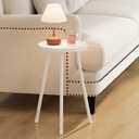 Small Couch Side Table, Drink Table, Mini Round End Table, Coffee Table, Snack Table for Small Spaces, Living Room, Bedroom, Sofa LET520W