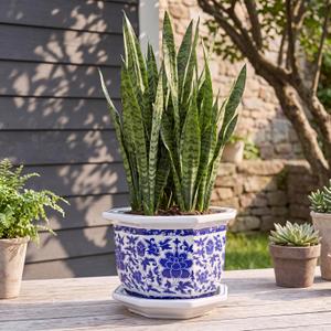 LemonRoad 13'' Blue and White Ceramic Planter Chinoiserie Decor, Octagonal