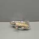 Bissap 5PCS Large Bird Perch Stand, Natural Wood Pole Standing Paw Grinding Fork Parrot Cage Branch with Rope for Macaw African Grey Amazon Pet Medium Large Birds Cage Accessories