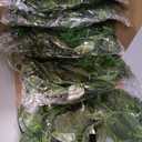 200 Pcs 1444ft Fake Ivy Vines Hanging Greenery for Room Decor