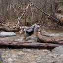 Adventure Backpack - Pink - XL