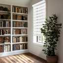 CHICOLOGY Zebra Blinds Cordless Window Shades, Dual Layer Light Filtering Roller Shades for Windows, Sheer Privacy Striped Fabric, Easy Install, 40" W x 72" H, Basic Arctic