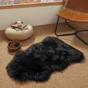 Ashler Faux Fur Rug, Black Area Rugs, Fluffy Sheepskin Fur Rug, Fuzzy Ultra Soft 2 x 3 Ft Rugs, Machine Washable Shag Rug, Nursery Throw Rugs for Bed, Living, Kids Room