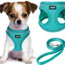 YIMEIS Dog Harness and Leash Set, No Pull Soft Mesh Pet Harness, Reflective Adjustable Puppy Vest for Small Medium Large Dogs, Cats (Turquoise, X-Small (Pack of 1)