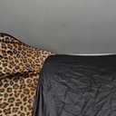 Gven Windshield Sun Shade 2pcs with Bonus Car Sunshade for Front Window Shades 2025 Technology Reflect UV and Heat Sun Visor Automotive Interior Sun Protection (Leopard, M)