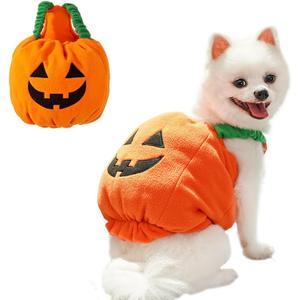 ANIAC Dog Pumpkin Costume Halloween Cat Pumpkin Outfit Funny Puppy Clothes for Small Dogs Pet Party Cosplay Accessories (Orange Clohes, Medium)