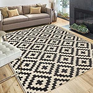 SAND MINE Reversible Mats, Plastic Straw Rug, Modern Area Rug, Large Floor Mat and Rug for Outdoors, RV, Patio, Backyard, Deck, Picnic, Beach, Trailer, Camping (4' x 6', Black & Beige Lattice) SAND MINE Reversible Mats, Plastic Straw Rug, Modern Area Rug, Large Floor Mat and Rug for Outdoors, RV, Patio, Backyard, Deck, Picnic, Beach, Trailer, Camping (4' x 6', Black & Beige Lattice)