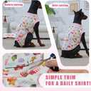 2 x Dog Recovery Suit for Post Surgery, E-Collar Cone Alternative for Female Spay & Male Neuter, Breathable Soft Onesie for Abdominal Wounds & Skin Disease, Anti-Lick Surgical Suit for Dogs, Pink, L (Large (Back: 17.73"; Weight: 28 - 55 LB))